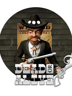 Dead or Alive 2 at Bassbet Casino