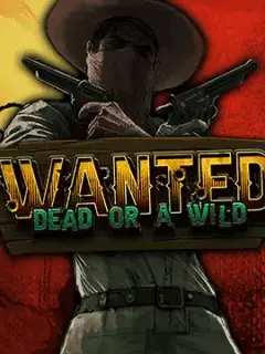 Wanted Dead or a Wild at Bassbet Casino
